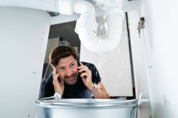 Best Emergency Plumber  in Zephyrhills South, FL